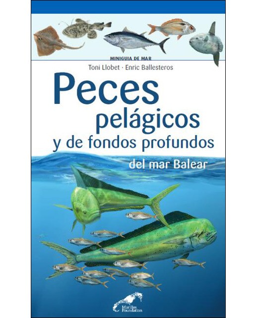 La presencia del prado: Episodios de una historia(Tapa blanda) 1