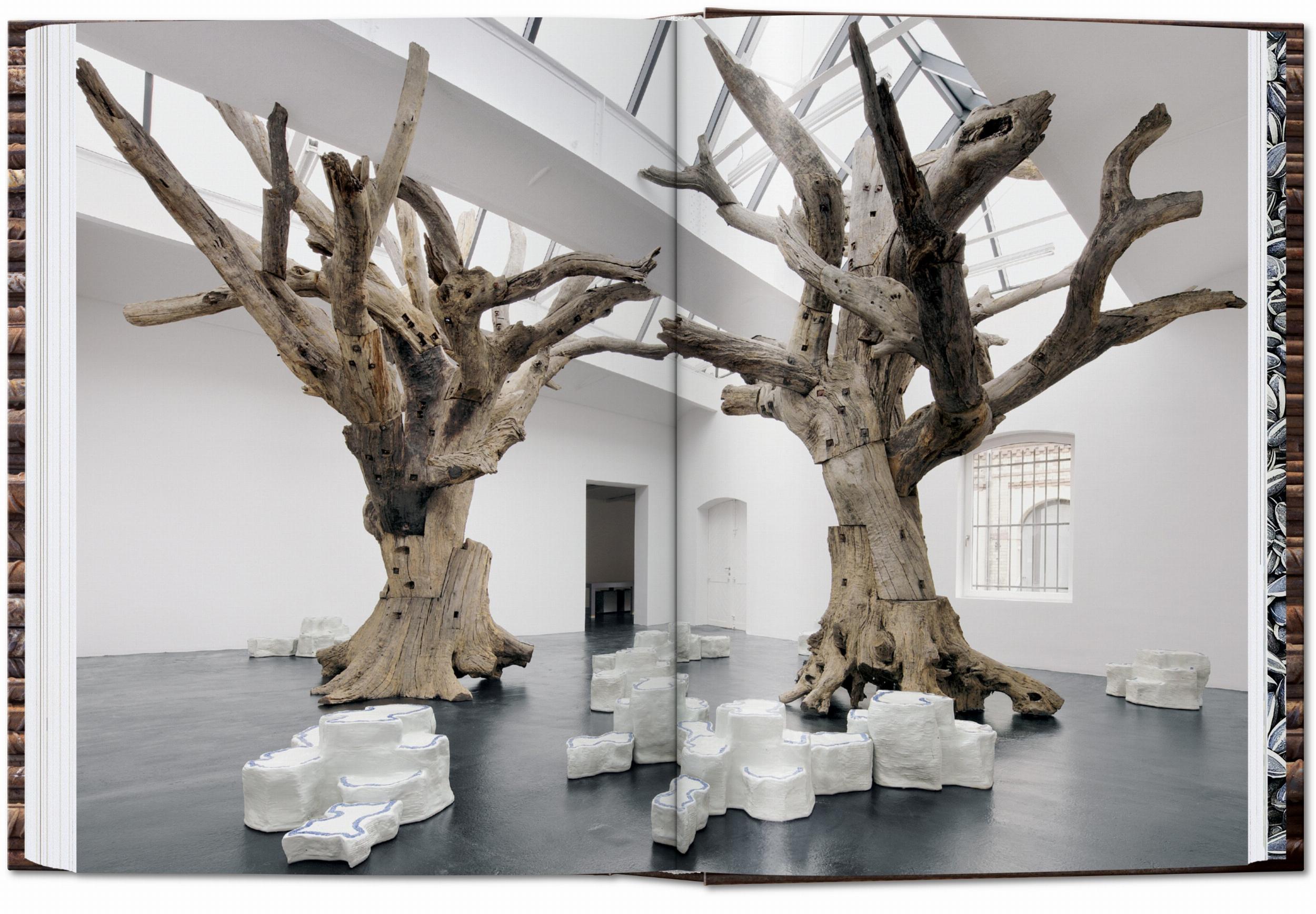 Ai Weiwei. 40th Ed. (Capa dura) 4