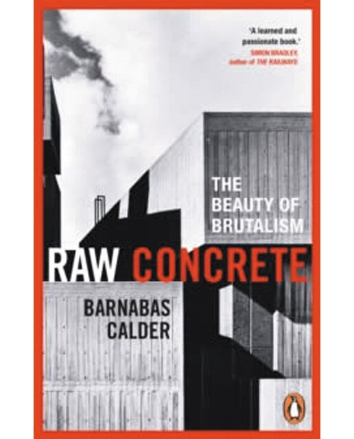 Raw concrete 1