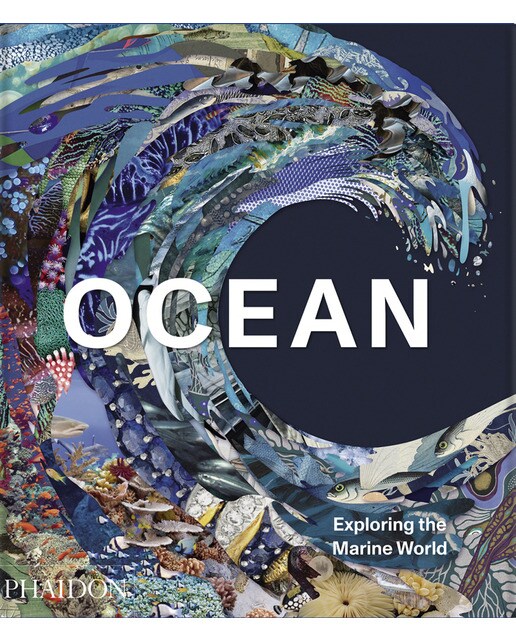 Ocean 1