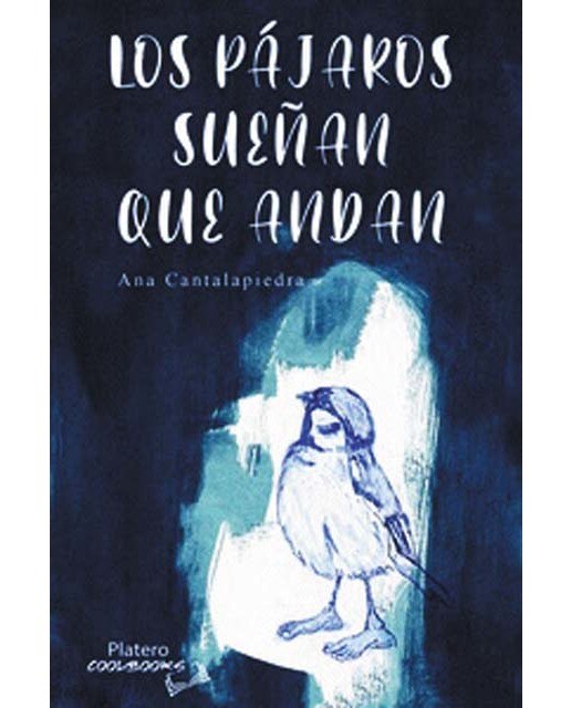 LOS PÁJAROS SUEÑAN QUE ANDAN 1