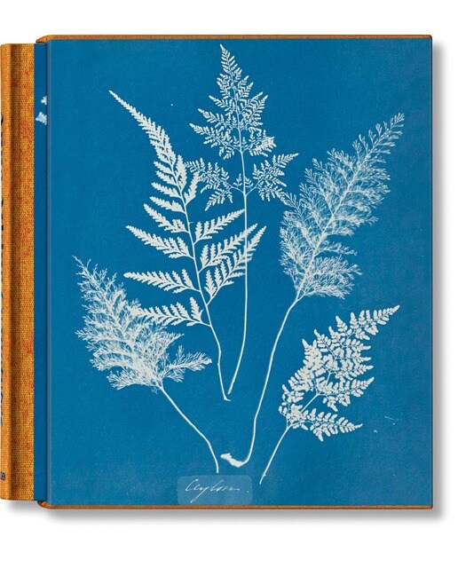 Imagen 1 de Anna Atkins. Cyanotypes  (Tapa dura)