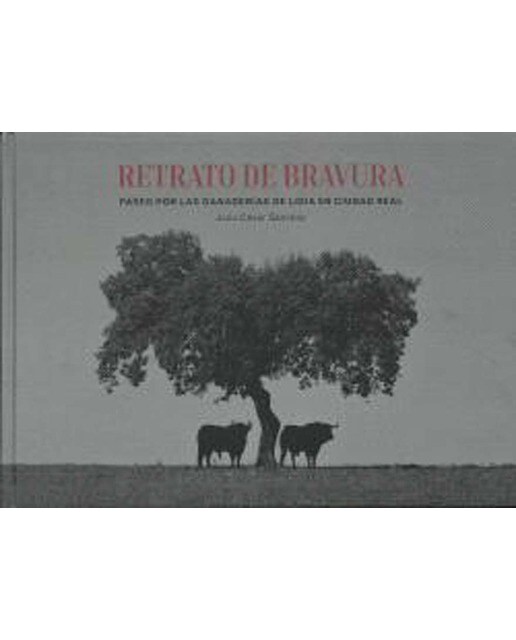 Retrato de bravura 1