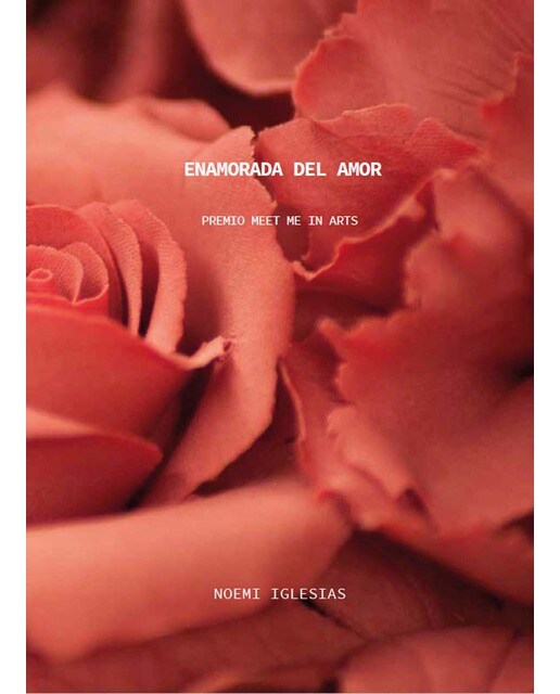 Noemi Iglesias. Enamorada del amor.: Premio V Edición del Programa Meet Me In Arts 1
