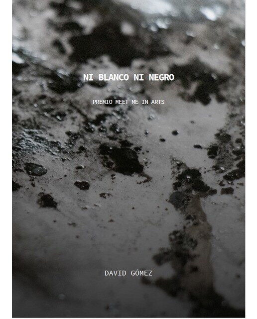David Gómez. Ni blanco ni negro.: Premio III Edición del Programa Meet Me In Arts 1