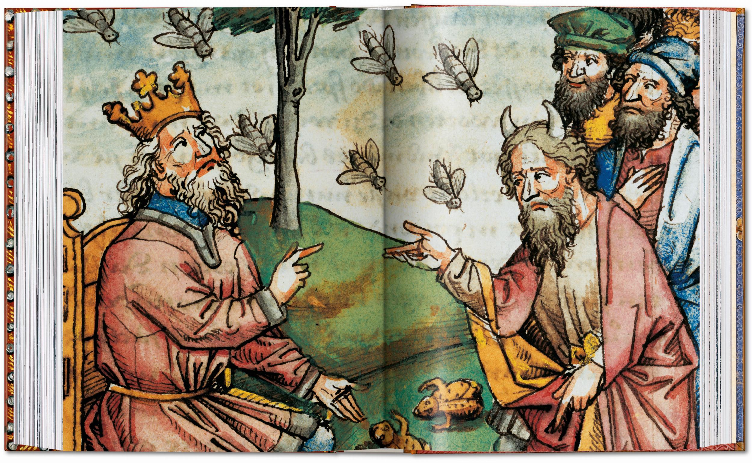 ll libro delle Bibbie. 40th Ed. (Capa dura) 2