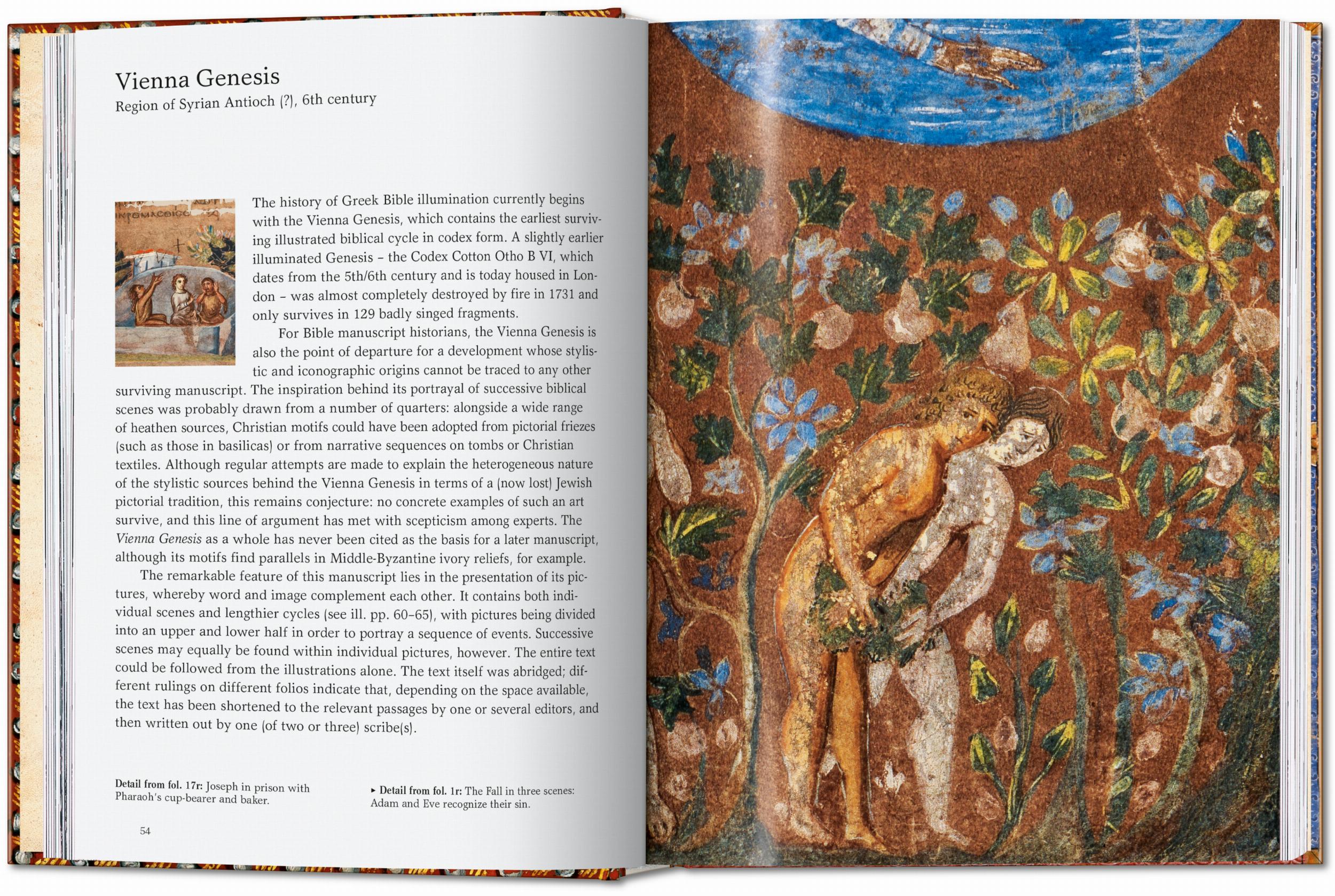 ll libro delle Bibbie. 40th Ed. (Capa dura) 9