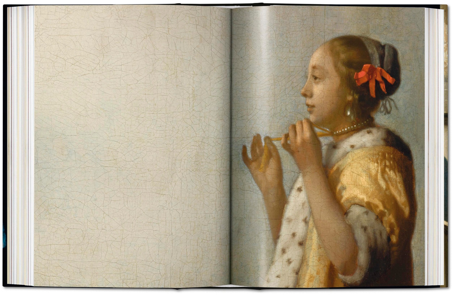 Vermeer. L'&uvre complet. 45th Ed. (Capa dura) 7