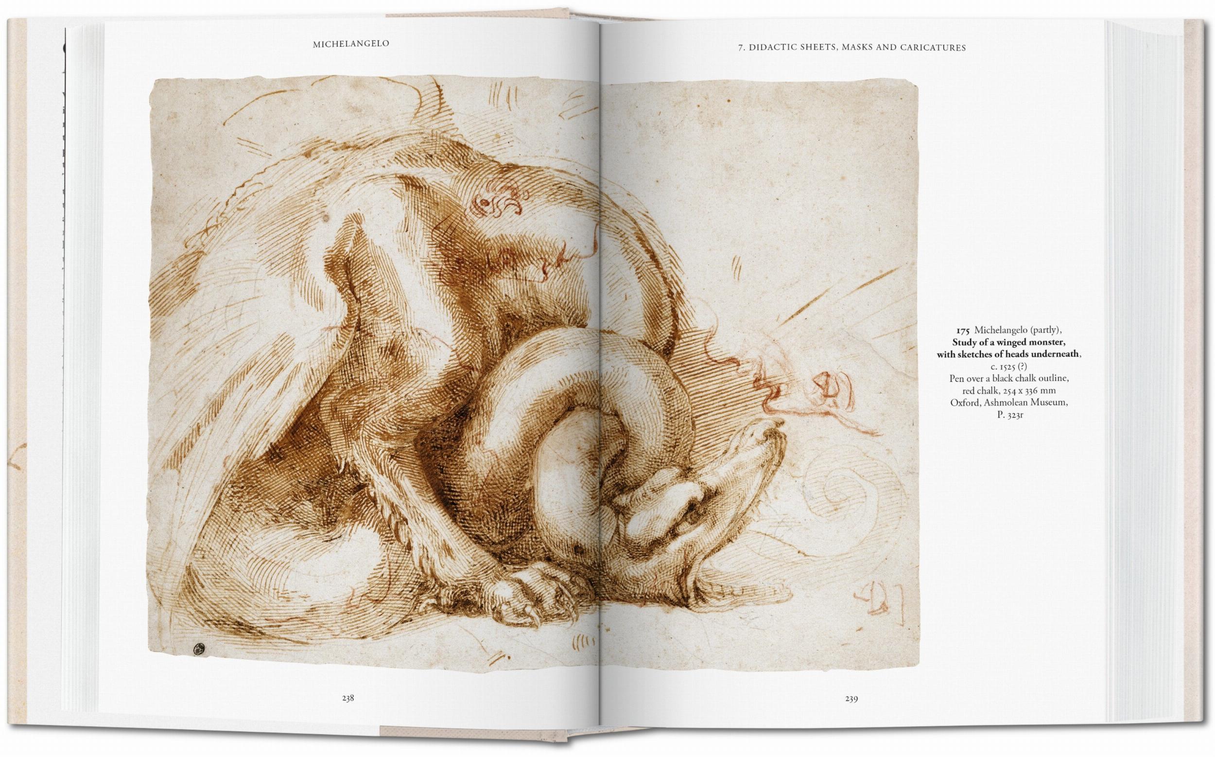Michelangelo. Disegni (Capa dura) 7