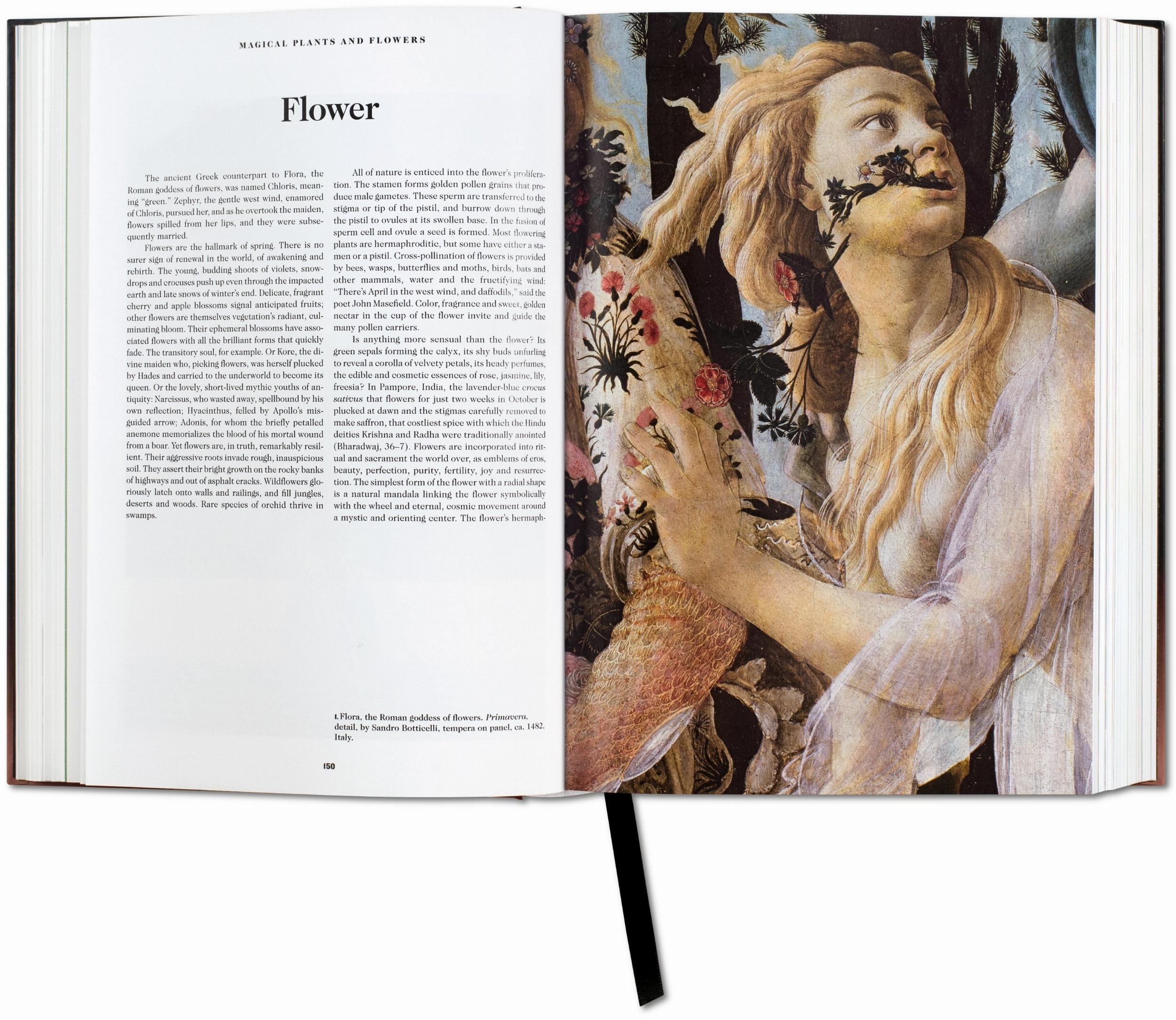 Il libro dei simboli. Riflessioni sulle immagini archetipiche (Capa dura) 3