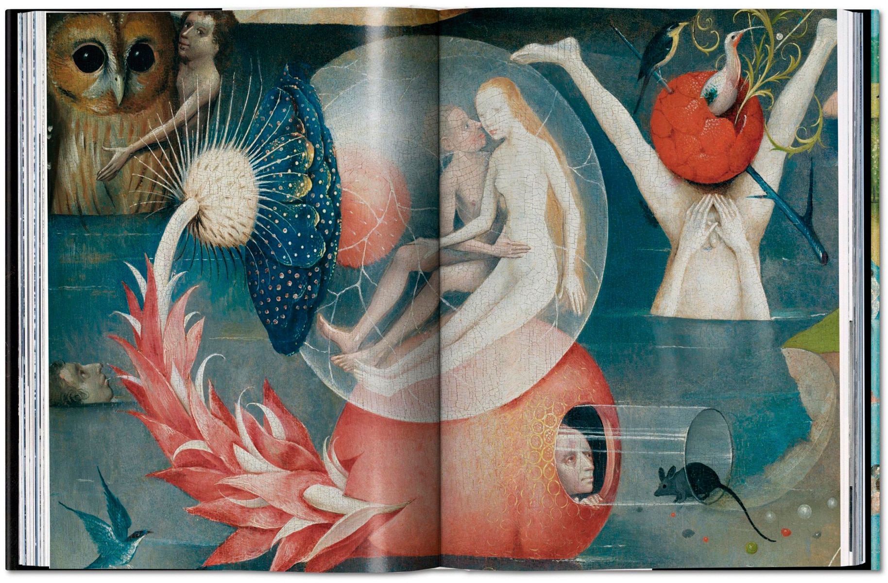 Bosch. Das vollständige Werk (Capa dura) 6