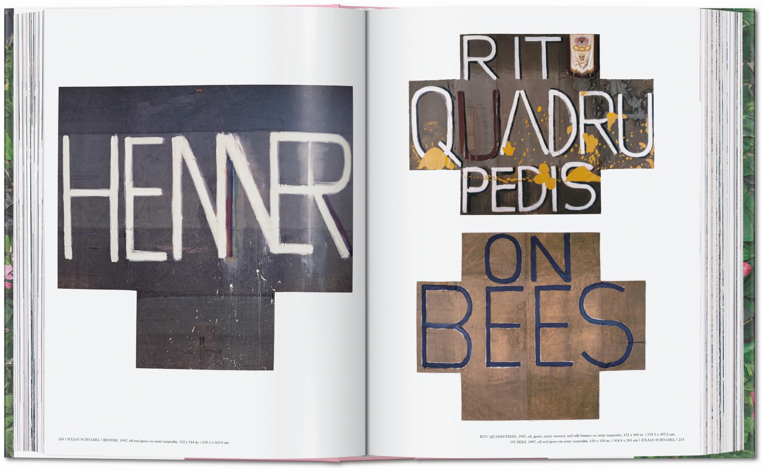 Julian Schnabel (Capa dura) 13