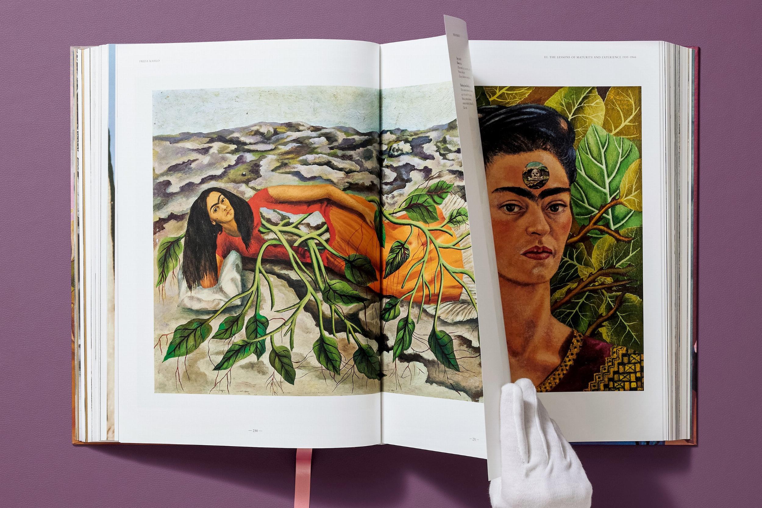 Frida Kahlo. The Complete Paintings (Capa dura) 15
