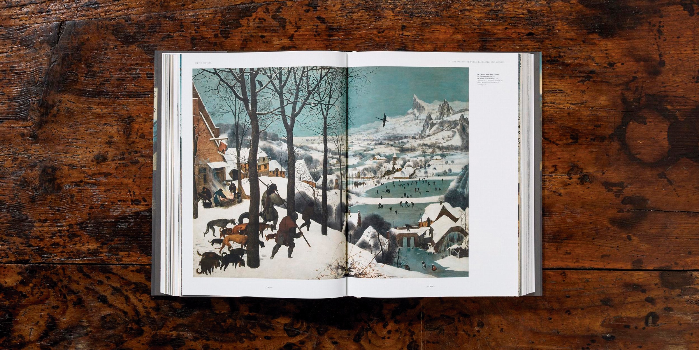 Bruegel. Das vollständige Werk (Capa dura) 5