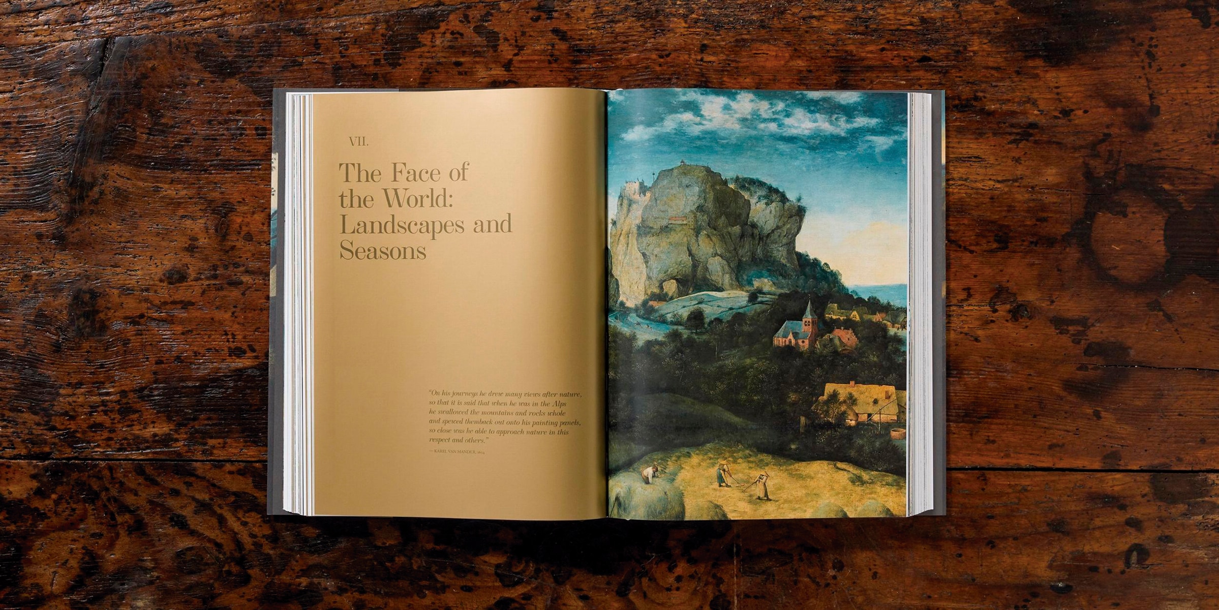 Bruegel. Das vollständige Werk (Capa dura) 9