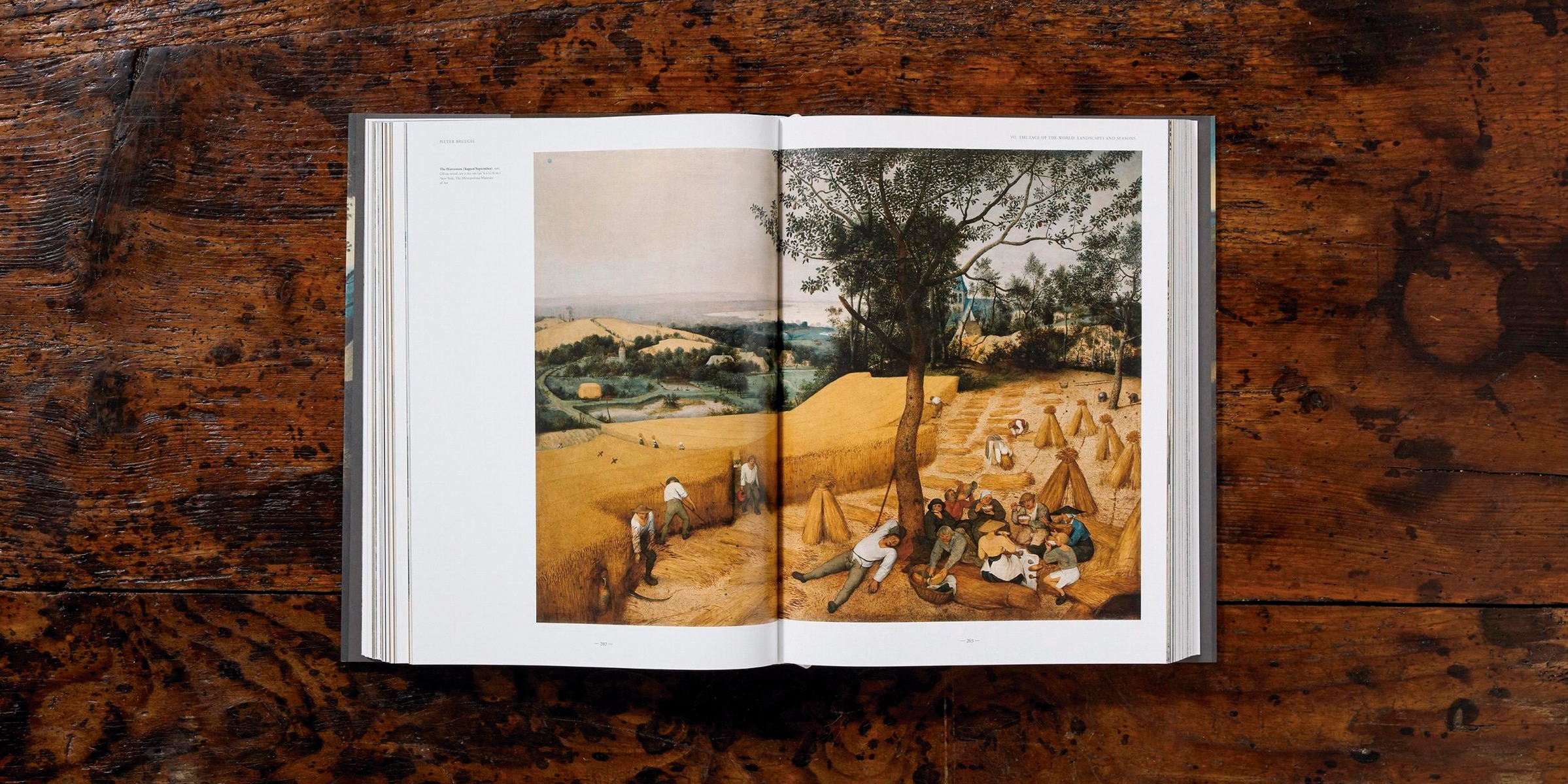 Bruegel. Das vollständige Werk (Capa dura) 10