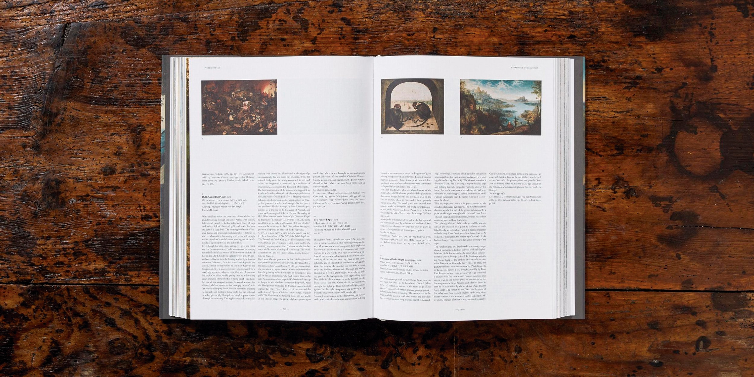 Bruegel. Das vollständige Werk (Capa dura) 13