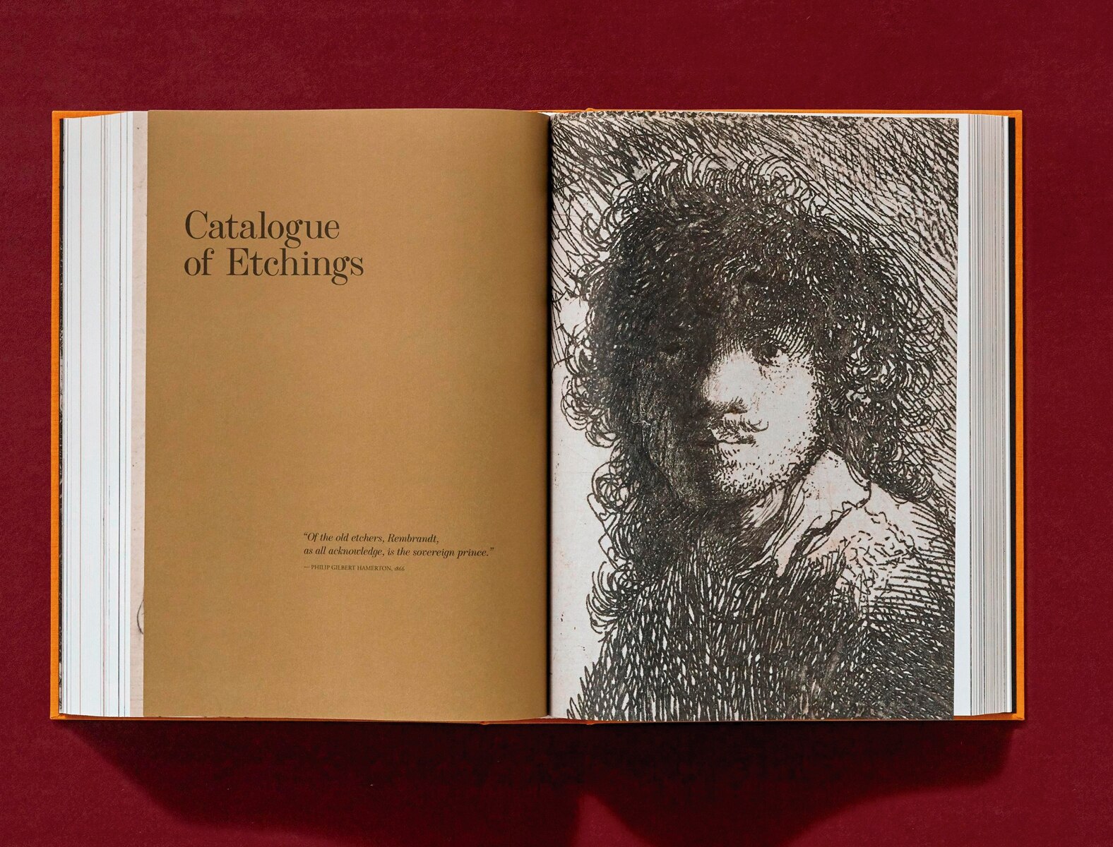 Rembrandt. Tous les dessins et toutes les eaux-fortes (Capa dura) 3