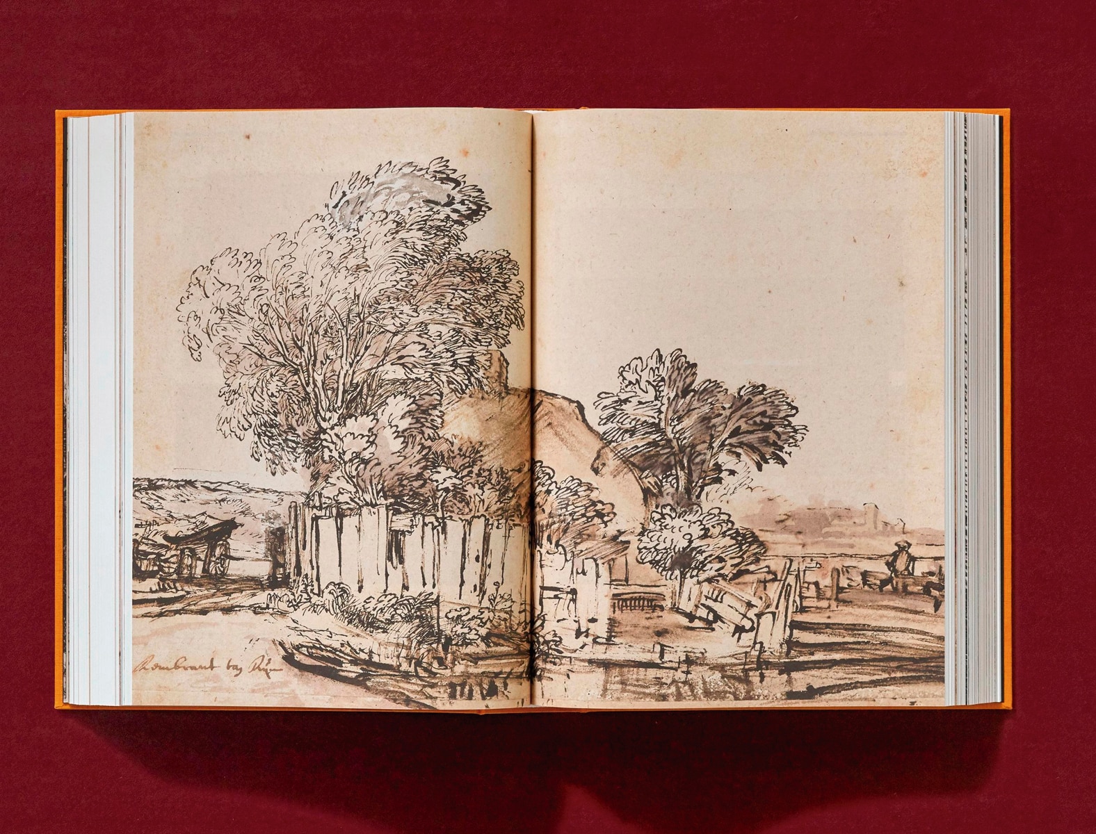 Rembrandt. Tous les dessins et toutes les eaux-fortes (Capa dura) 8