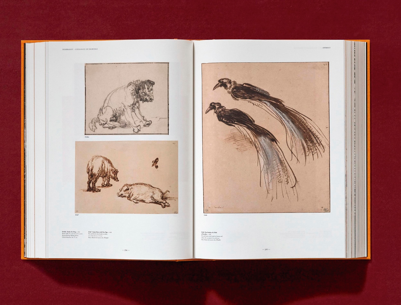 Rembrandt. Tous les dessins et toutes les eaux-fortes (Capa dura) 13