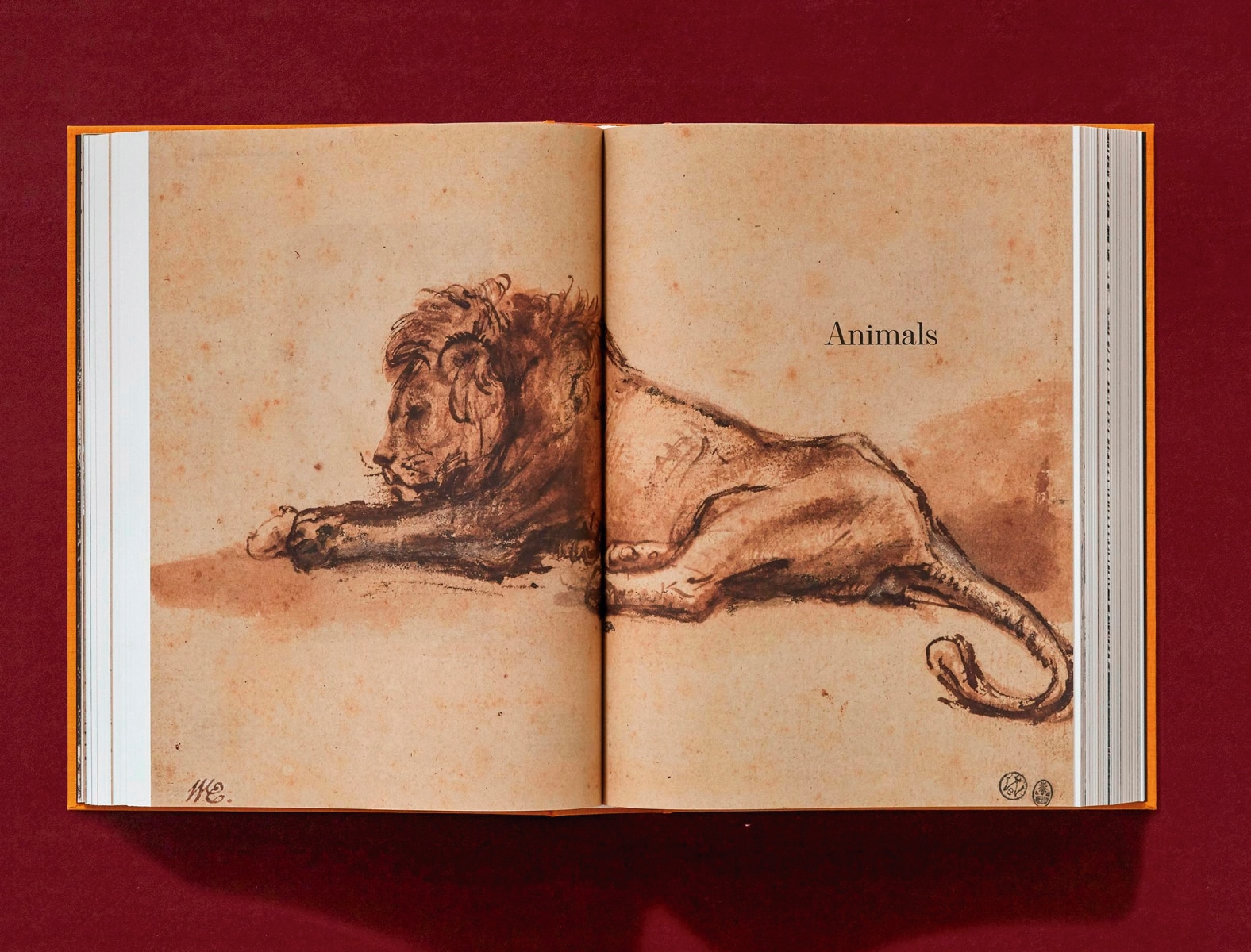 Rembrandt. Tous les dessins et toutes les eaux-fortes (Capa dura) 15