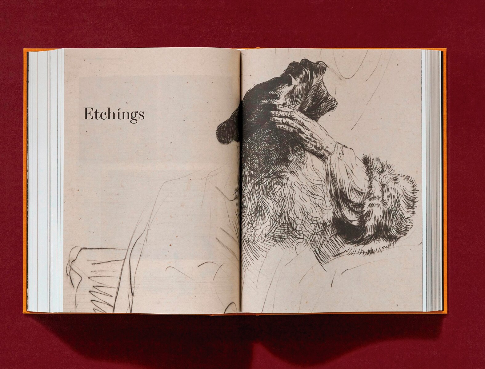 Rembrandt. Tous les dessins et toutes les eaux-fortes (Capa dura) 21