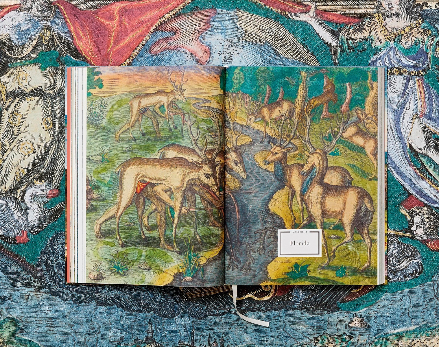 Théodore de Bry. America 14