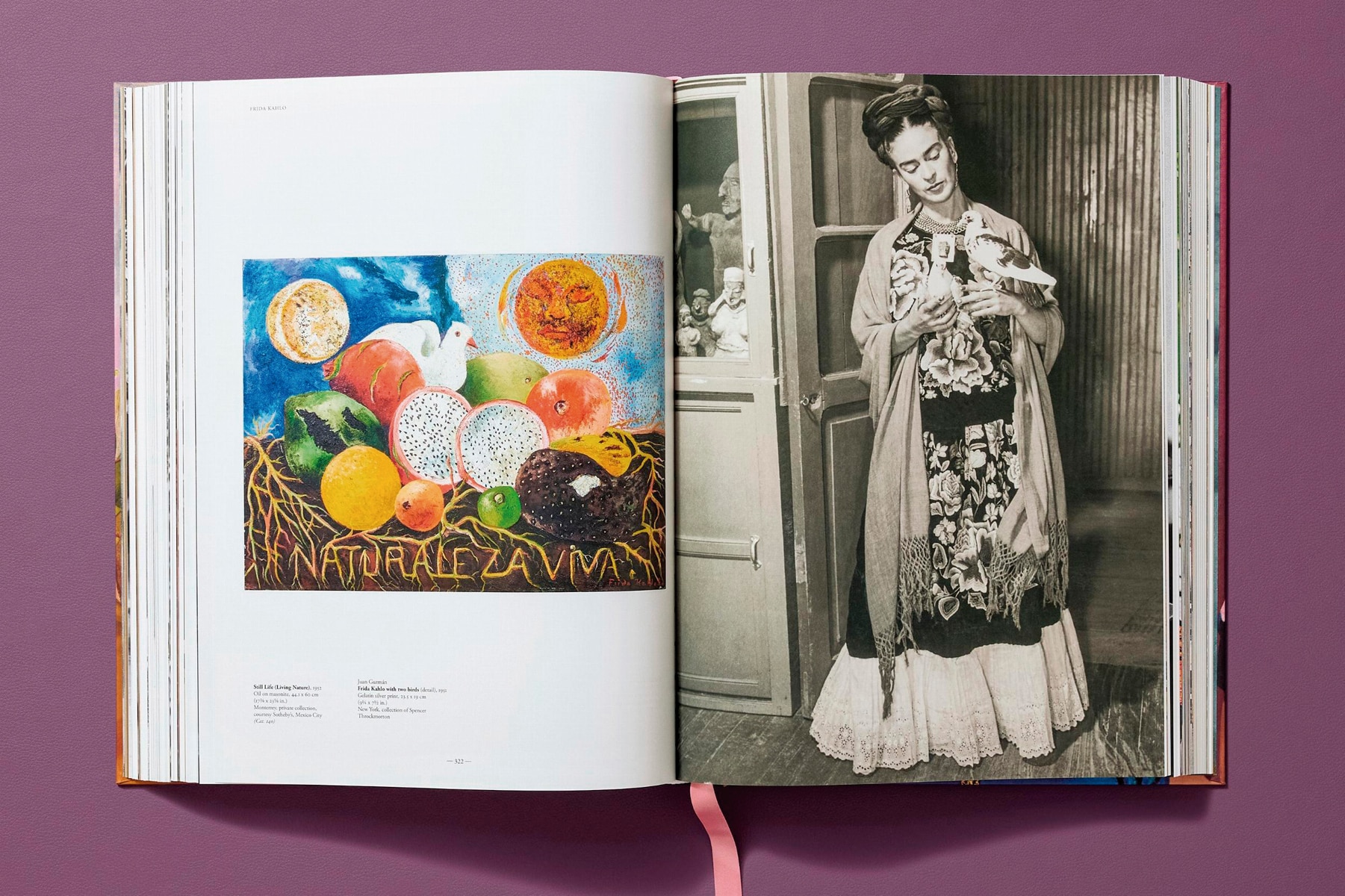 Frida Kahlo. Toute l'&uvre peinte (Capa dura) 9