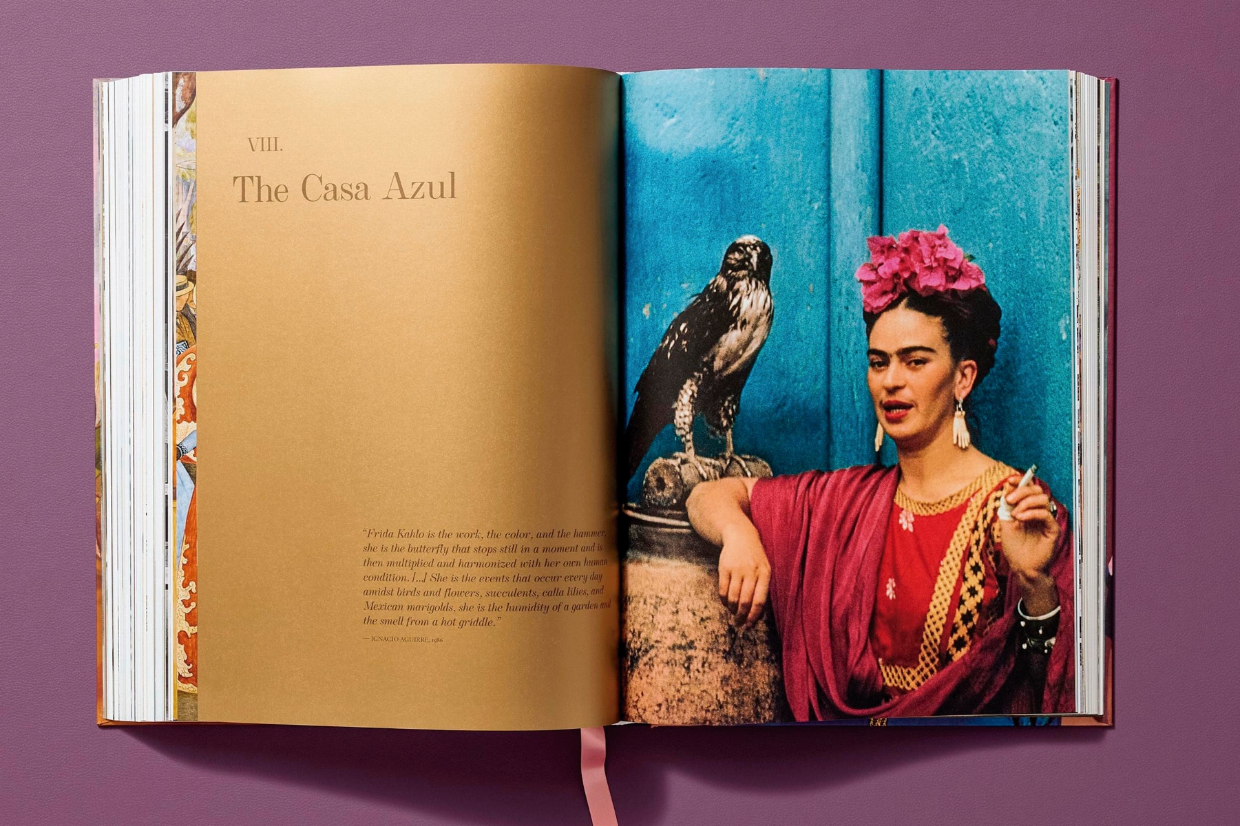 Frida Kahlo. Toute l'&uvre peinte (Capa dura) 10