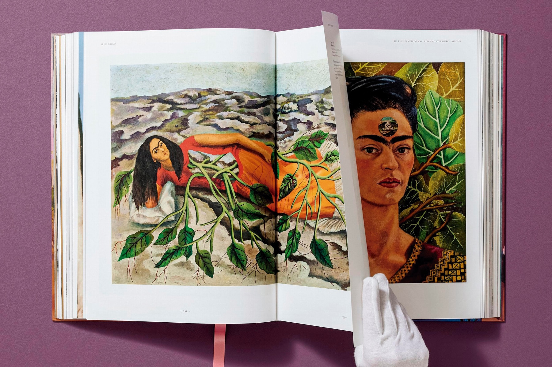 Frida Kahlo. Toute l'&uvre peinte (Capa dura) 15