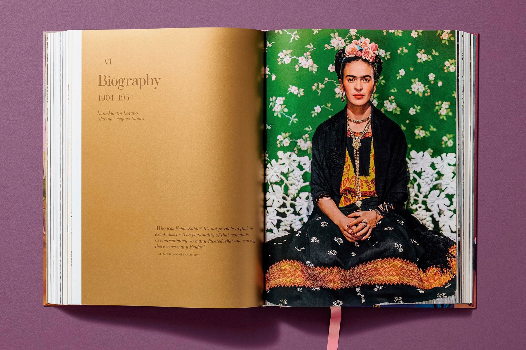 Frida Kahlo. Toute l'&uvre peinte (Capa dura) 26
