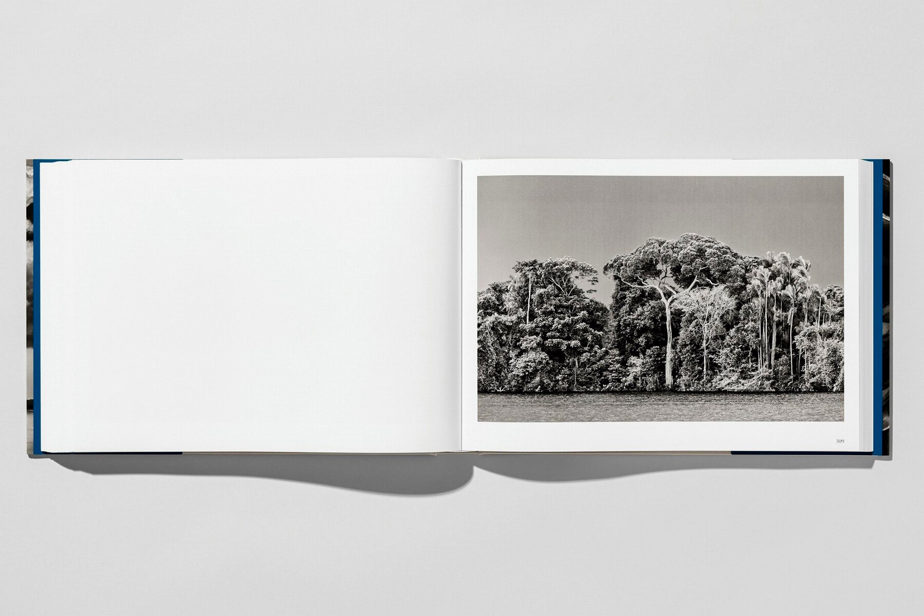 Sebastião Salgado. Amazônia (Capa dura) 14