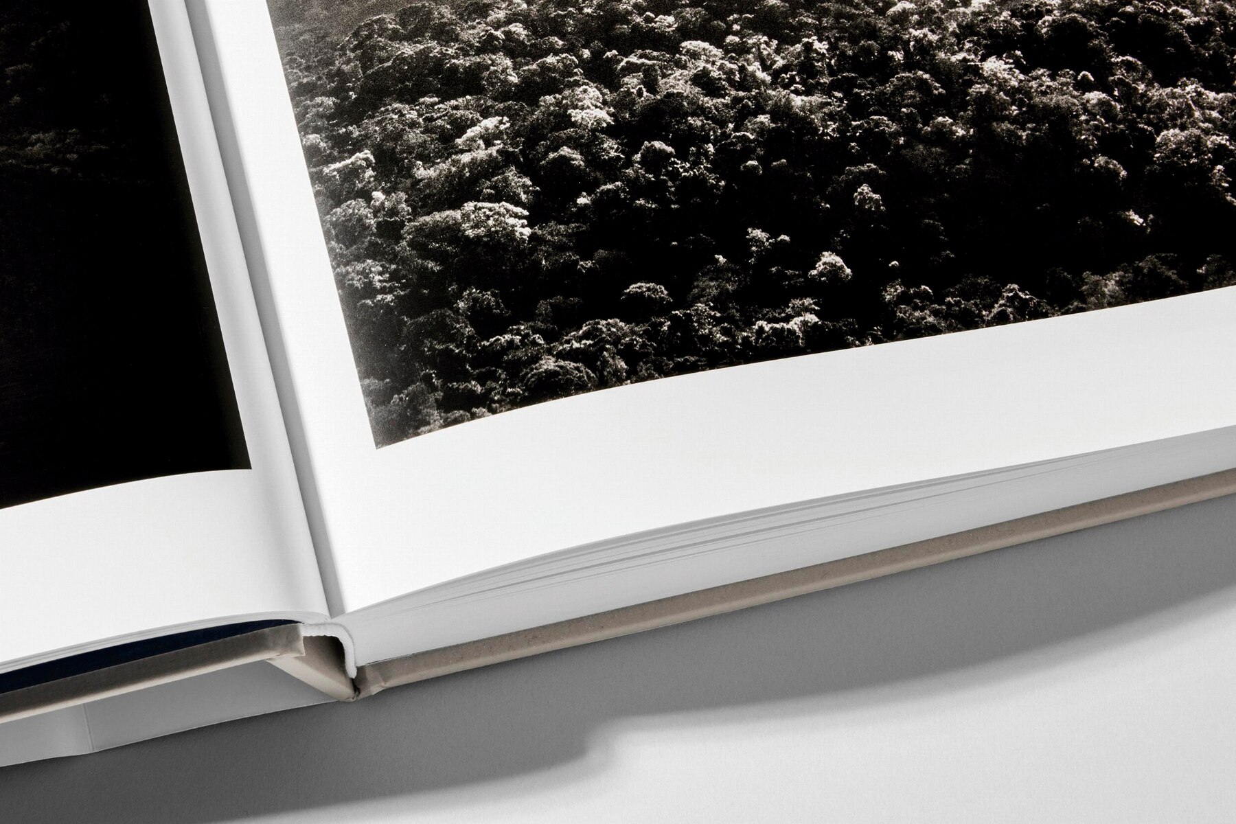 Sebastião Salgado. Amazônia (Capa dura) 17