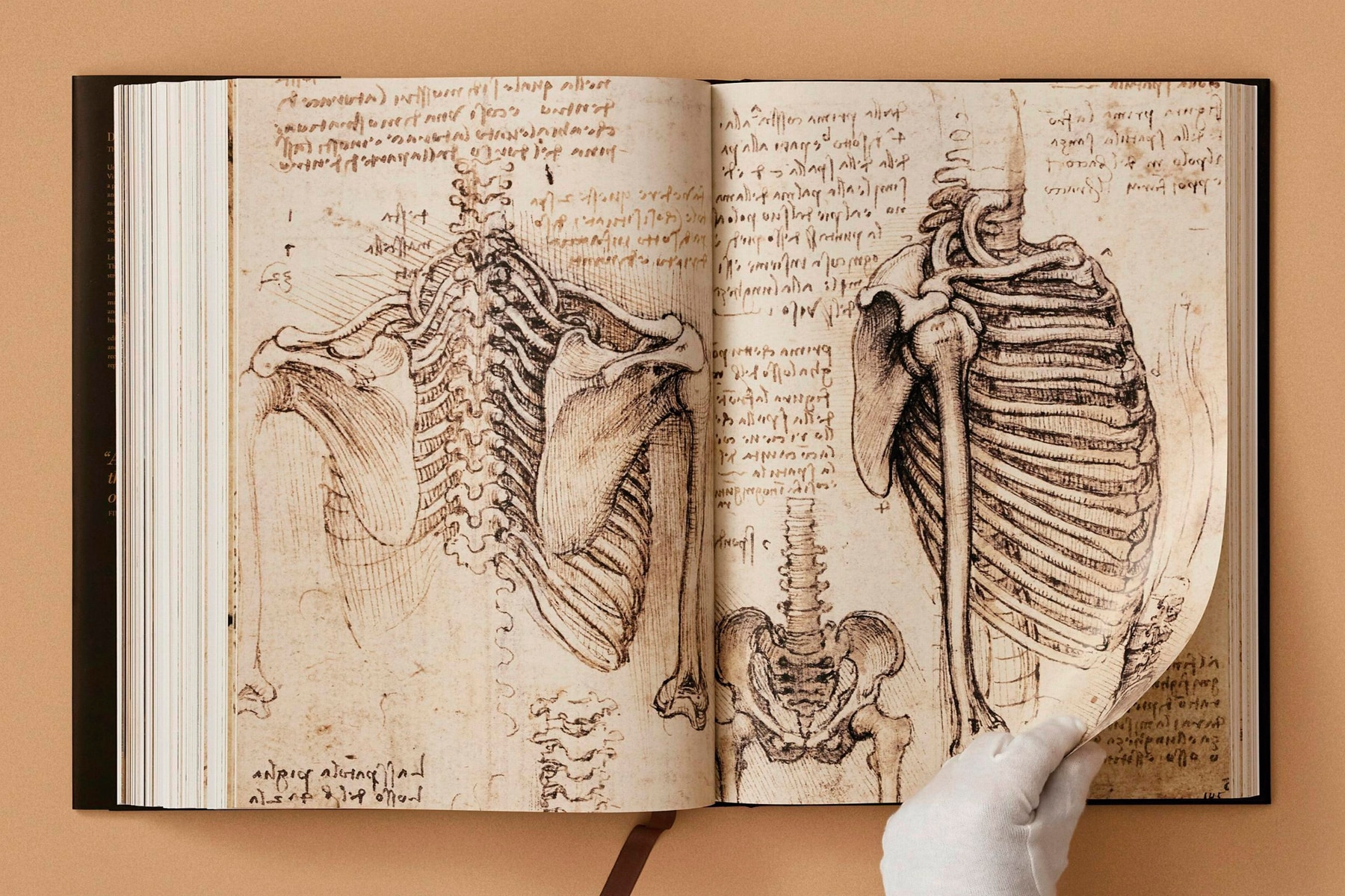 Leonardo. Sämtliche Gemälde und Zeichnungen (Capa dura) 10