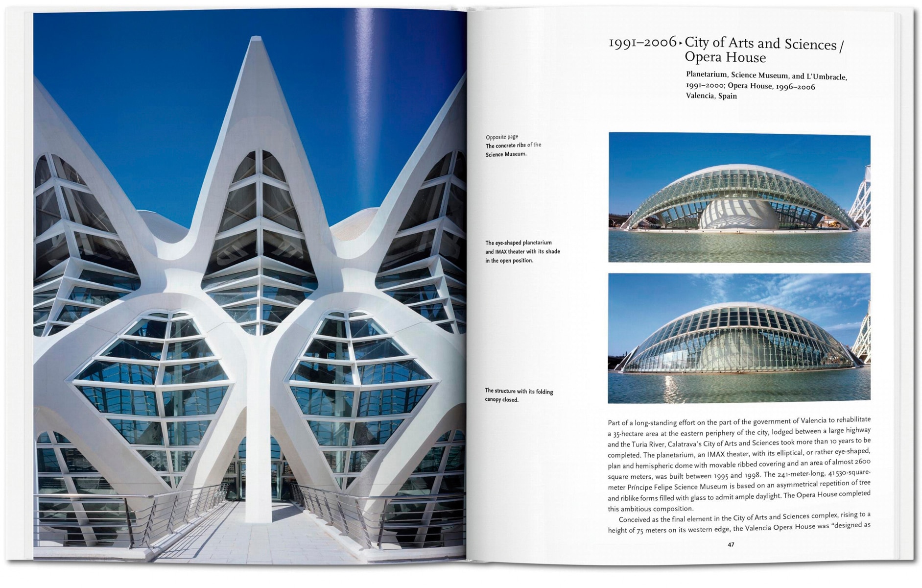 Calatrava (Capa dura) 6