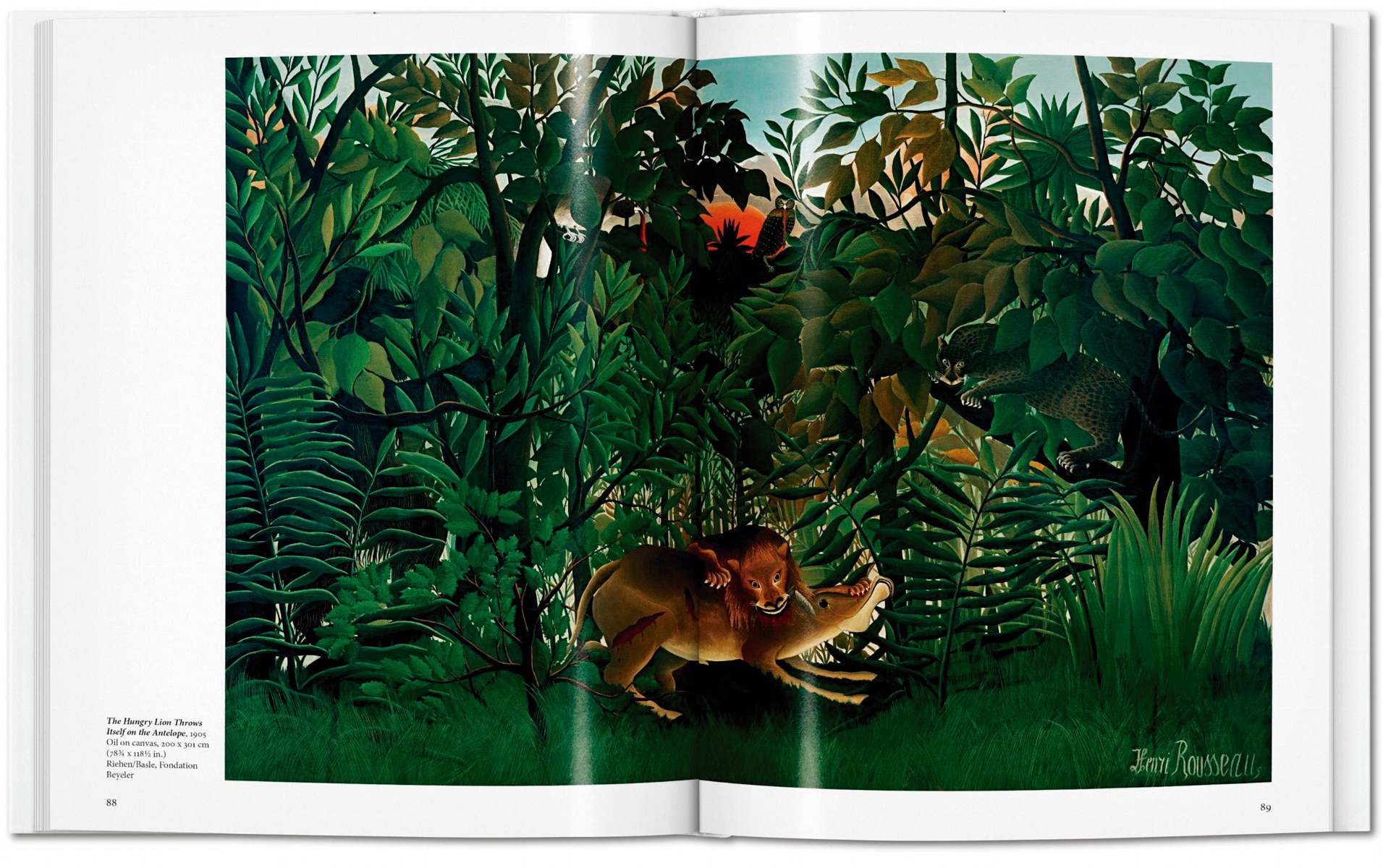 Rousseau (Capa dura) 6