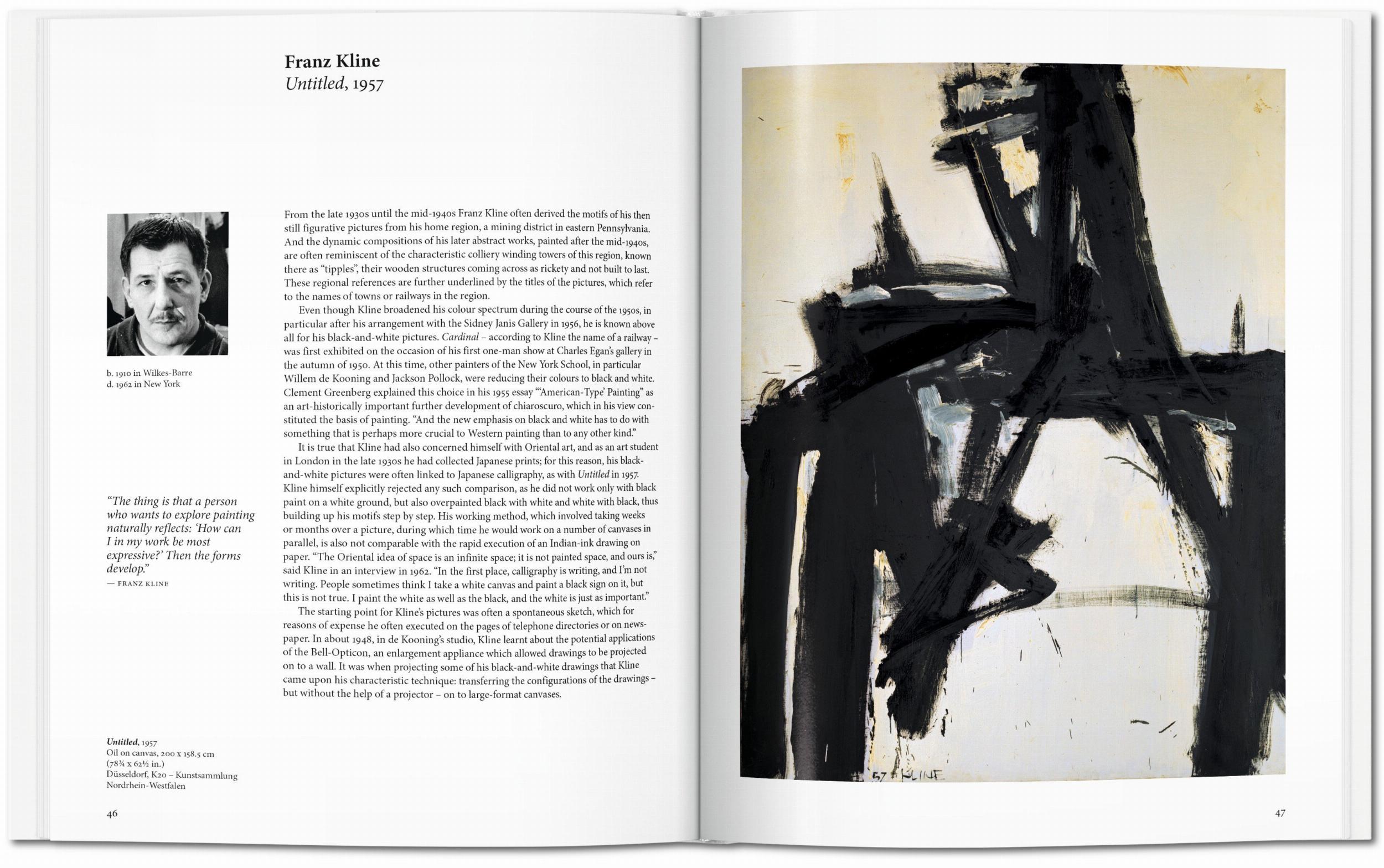 Abstract Expressionism (Capa dura) 2