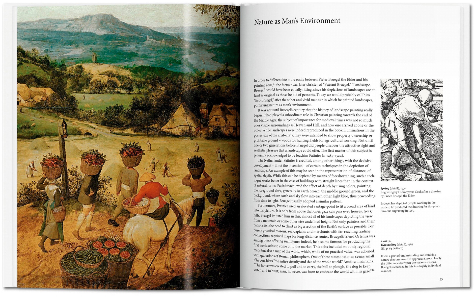 Bruegel (Capa dura) 6