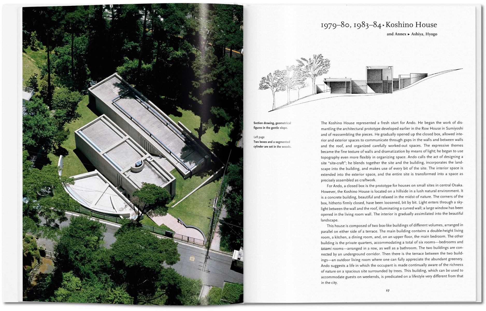 Ando (Capa dura) 5