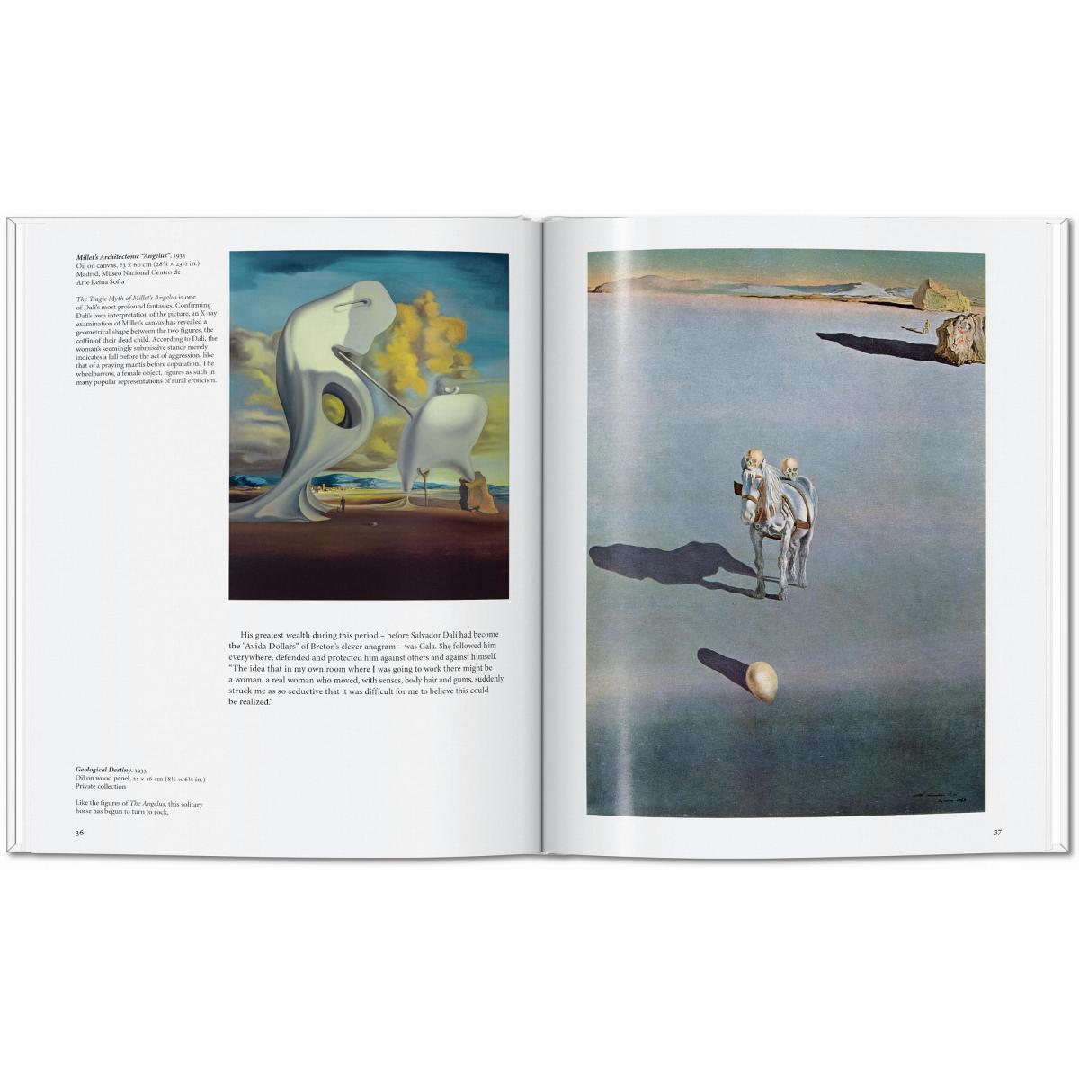 Dalí (Capa dura) 7