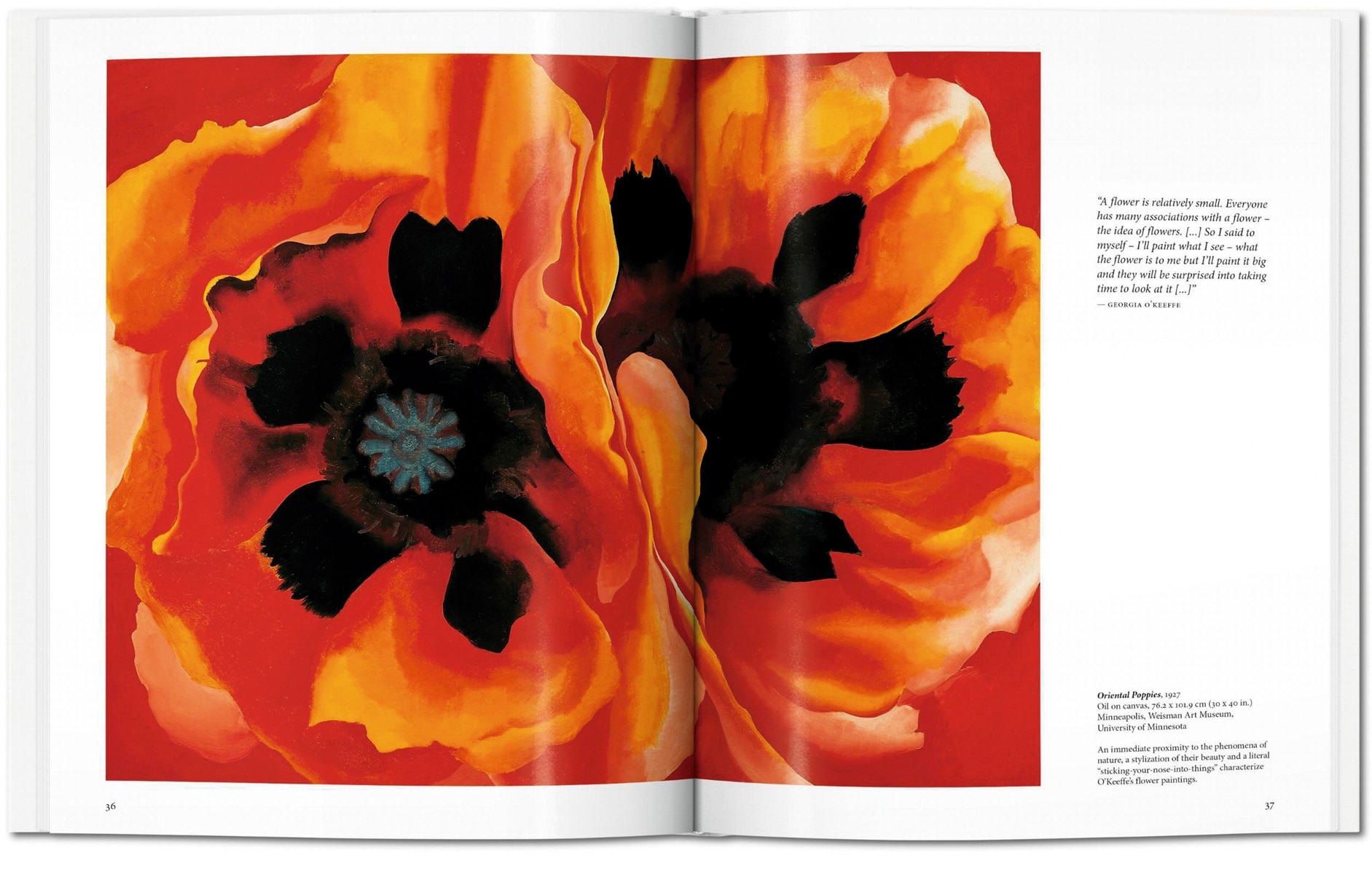 O'Keeffe (Capa dura) 3