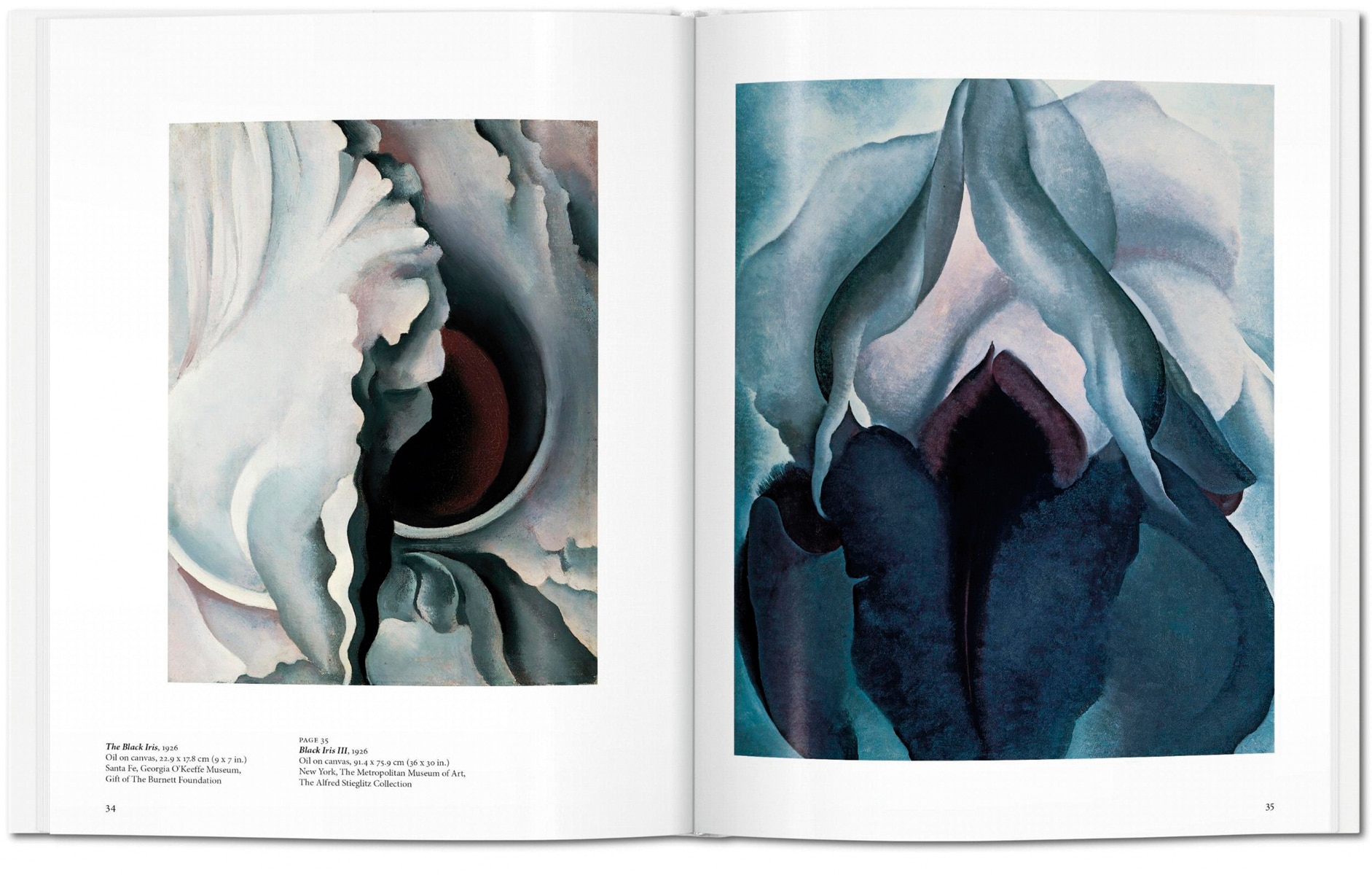 O'Keeffe (Capa dura) 5