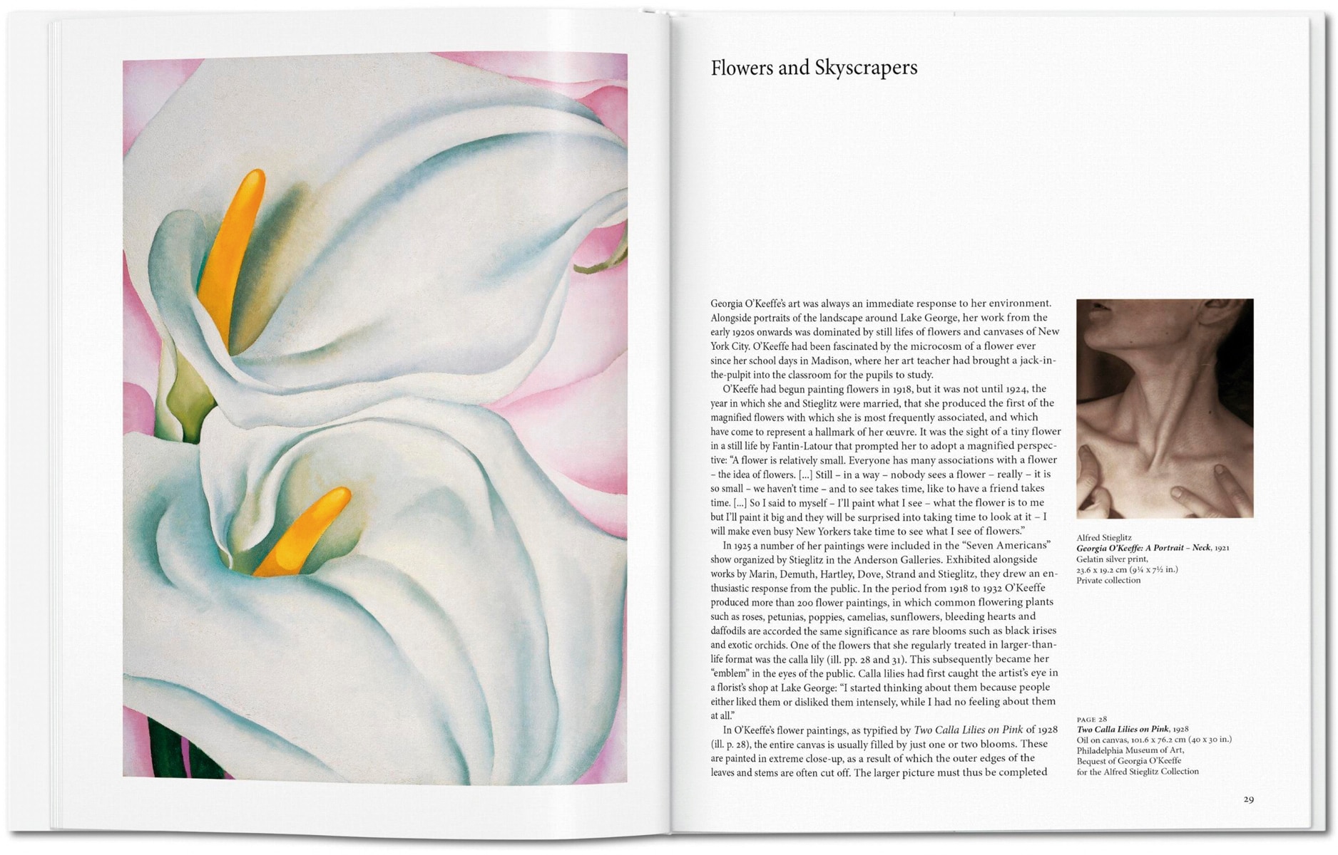 O'Keeffe (Capa dura) 7