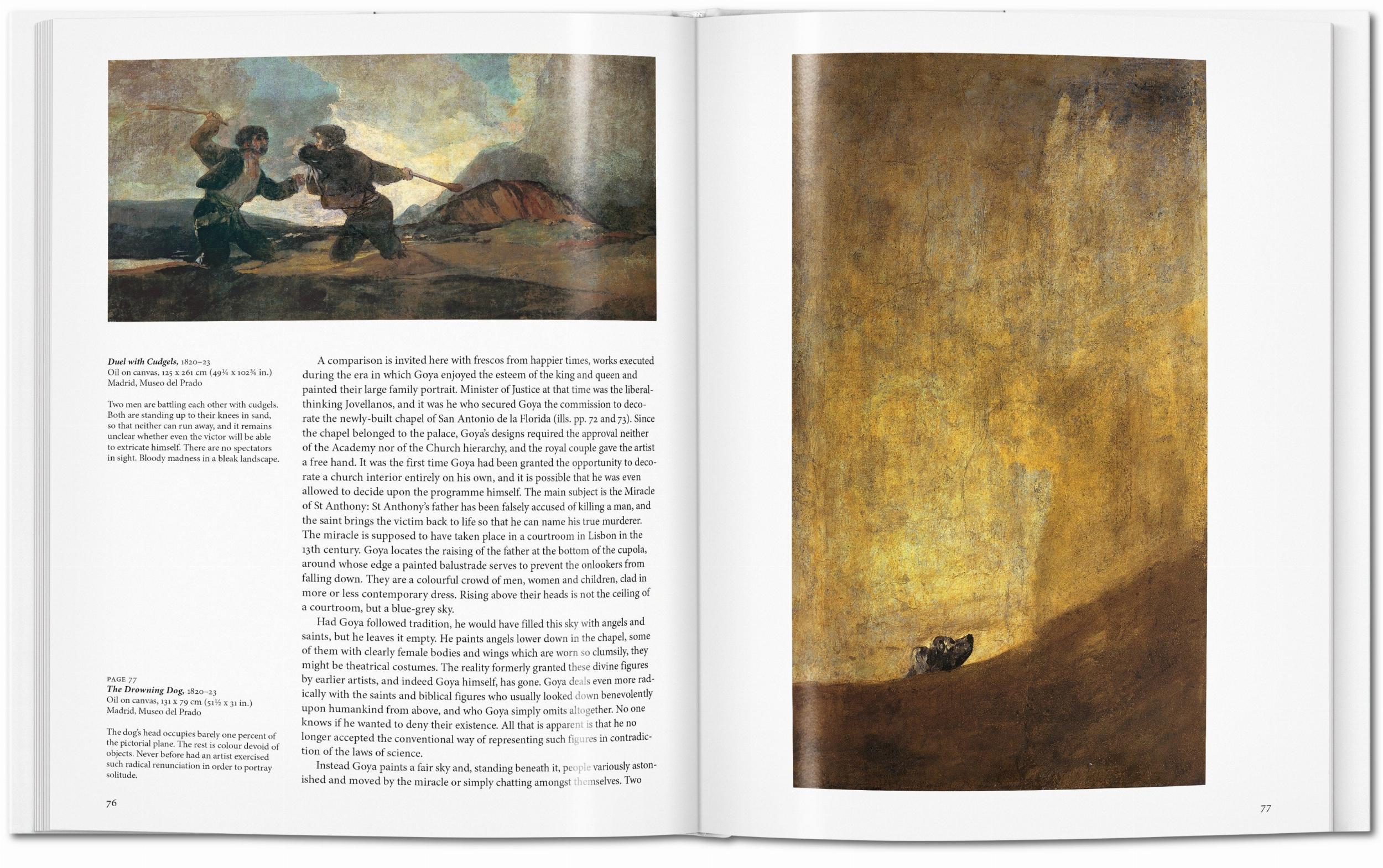 Goya (Capa dura) 6