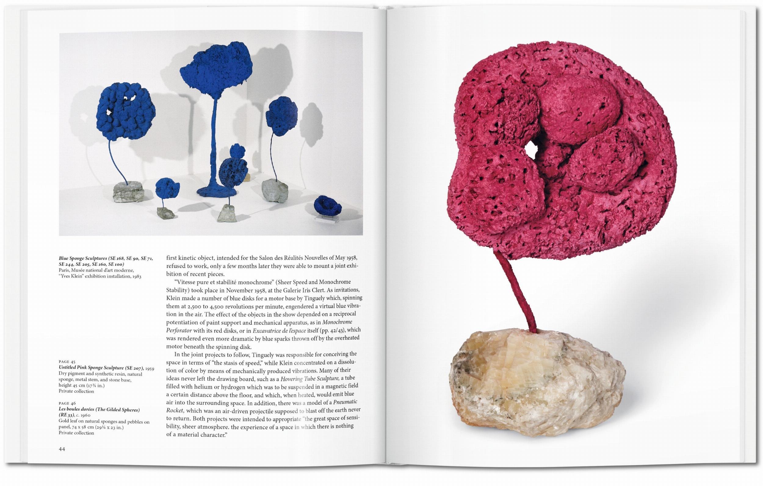 Yves Klein (Capa dura) 4
