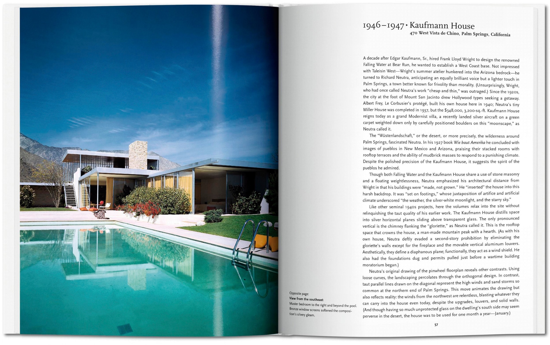 Neutra (Capa dura) 4