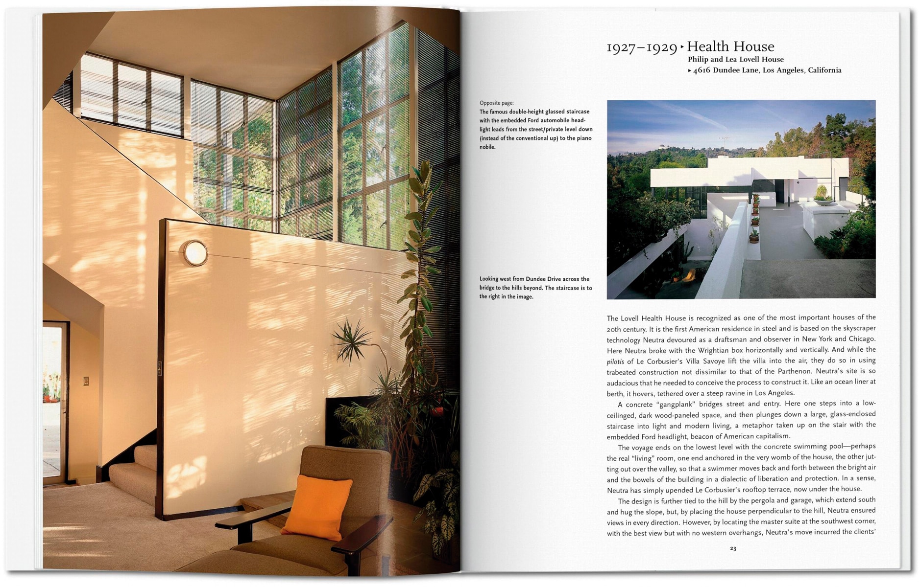 Neutra (Capa dura) 5