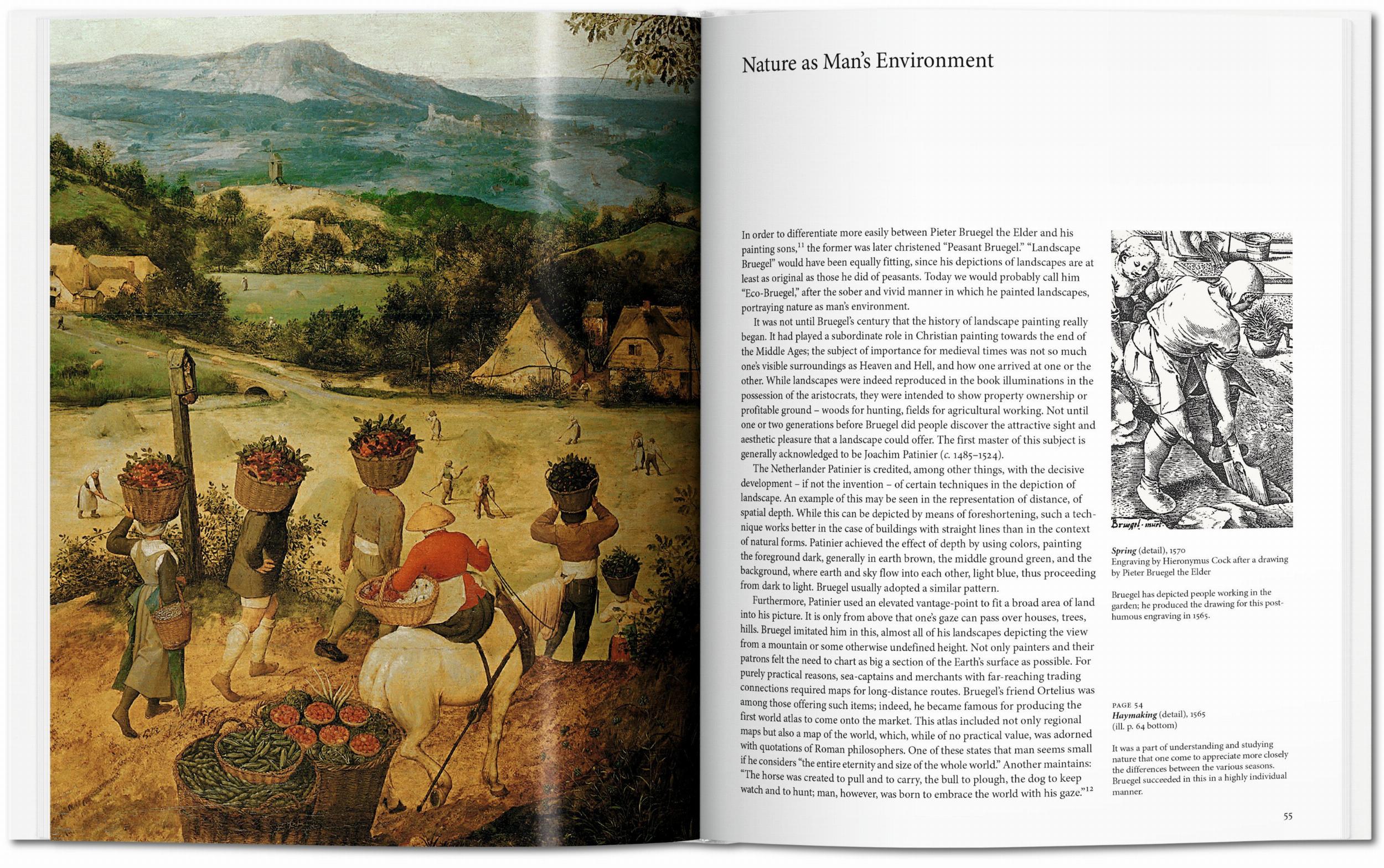 Bruegel (Capa dura) 6