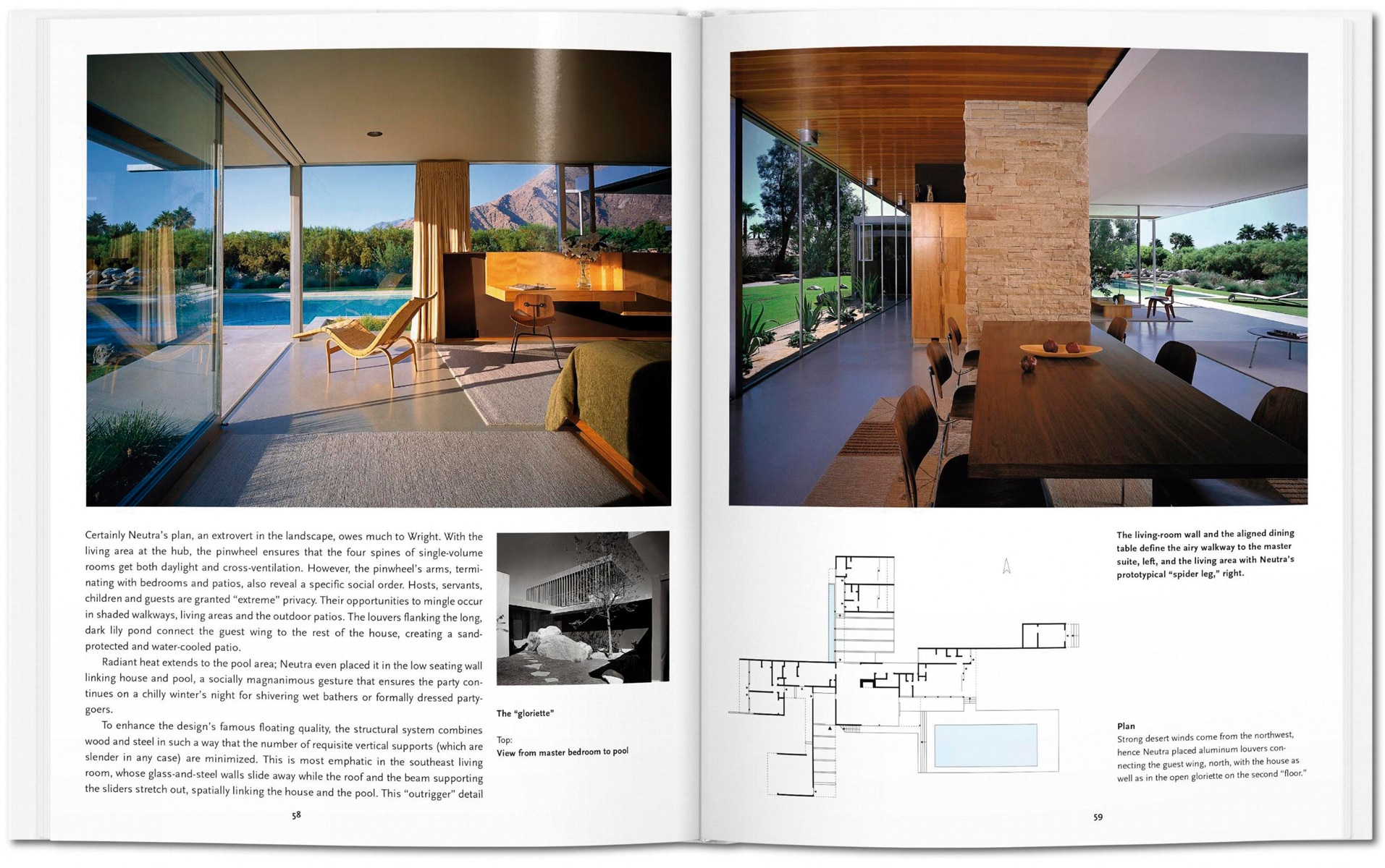 Neutra (Capa dura) 7