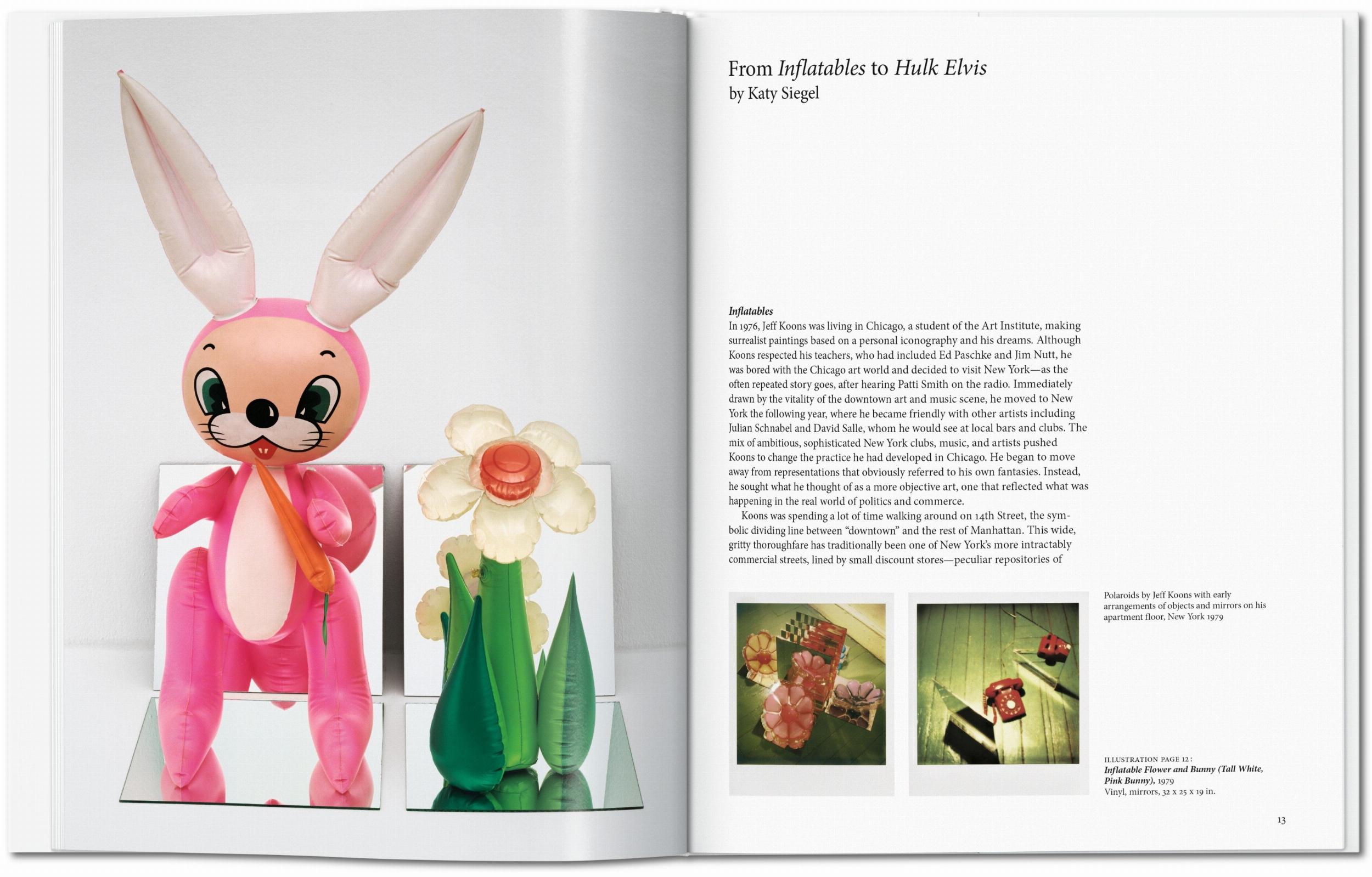 Koons (Capa dura) 2